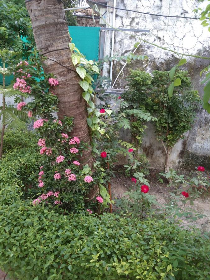 Gurukrupa Bunglow Dwārka Εξωτερικό φωτογραφία